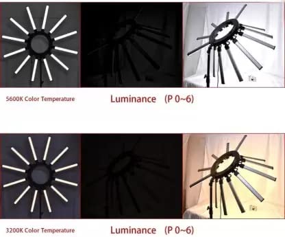 Welocity Professional 12 ARM Professional LED Star Ring Light Photo & Video, 12 Arms Star Lamp LED Photographic Video Ring Light for Makeup Artist, Salon, and Parlour Lighting