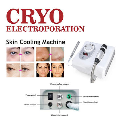 Welocity Professional Skin Cool Electroporation Heating and Cooling Cryo Electroporation Mesotherapy Machine